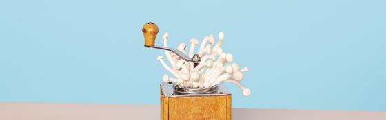 Getest: elke dag een microdosis psychedelische paddo’s