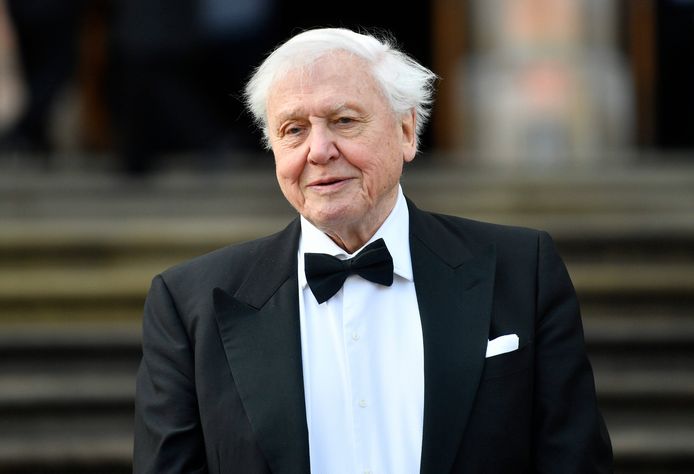 David Attenborough wil een dancehit uitbrengen op basis van een veldopname die hij 65 jaar geleden maakte