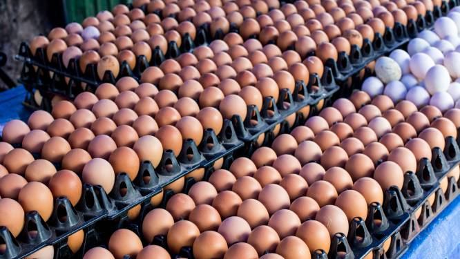 Als productie van eitje 14 cent kost, waarom betalen we dan dubbele? ‘Truc van de supermarkt’