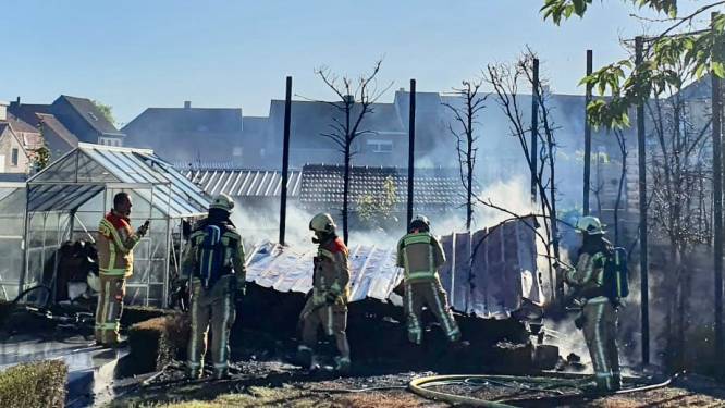 Tuinhuis uitgebrand op wijk Klappershoek in Boezinge