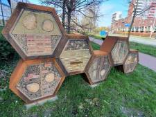 Help de bij: met deze tips maak je Utrecht aantrekkelijker voor bijen