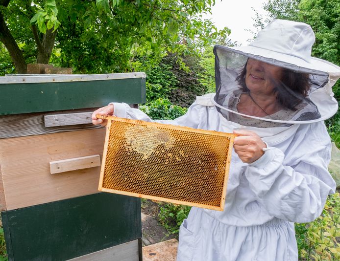 De Ruiter hoopt over een paar jaar met haar nieuwe bijenras zonder imkerkleding te kunnen werken.