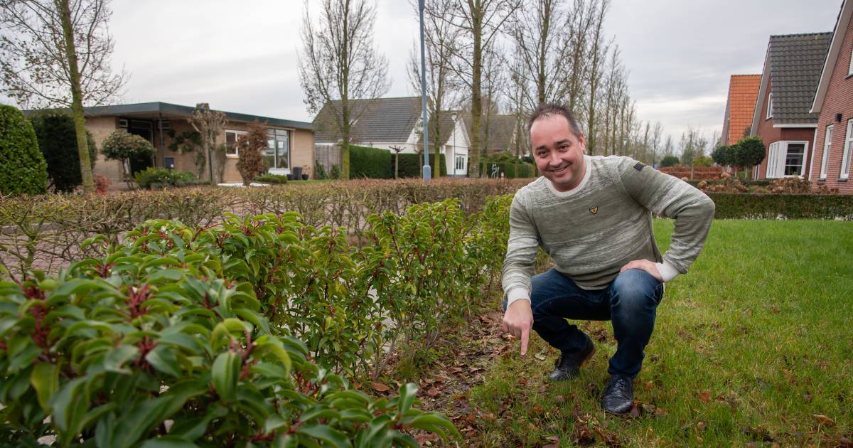 Wouter vreest dat zijn voortuin uitlaatterrein voor honden wordt: ‘Kan ik hele dagen stront scheppen