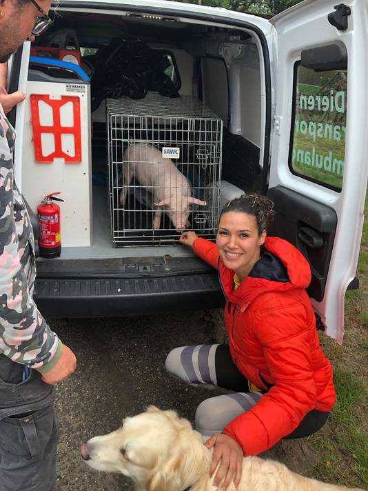 Chatilla van Grinsven kreeg het biggetje van een boer in Duitsland.