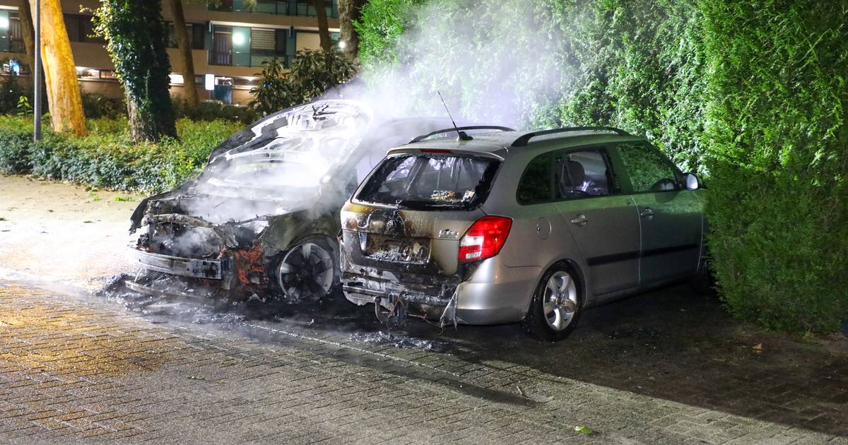 Twee voertuigen uitgebrand op parkeerplaats bij Prinsenhof in Ede