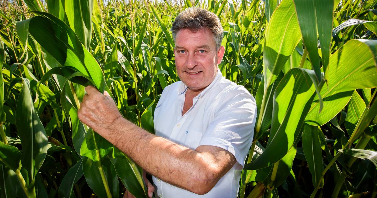 Gerjan uit Buurse heeft z’n afgerukte onderarm terug: ‘Het is ongelooflijk wat ze kunnen’