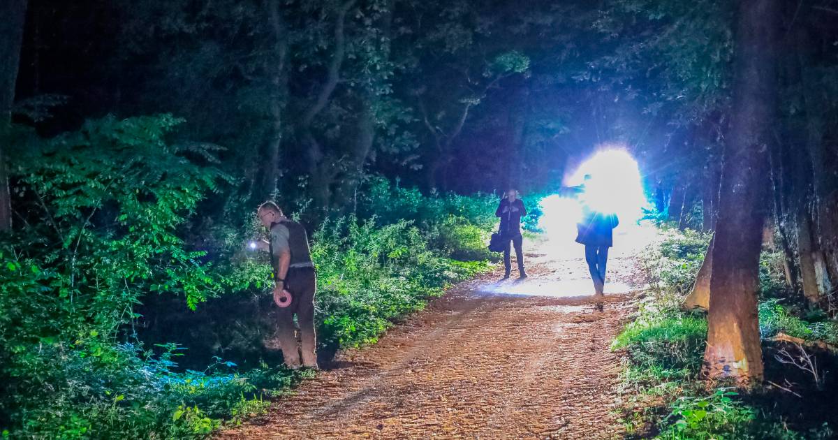 Politie, Staatsbosbeheer en de brandweer hebben vanavond onderzoek verricht in het bosgebied tussen Baarn en Lage Vuursche .