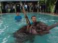 Olifantje ging door een hel, maar nu helpen mensen het herstellen in zwembad