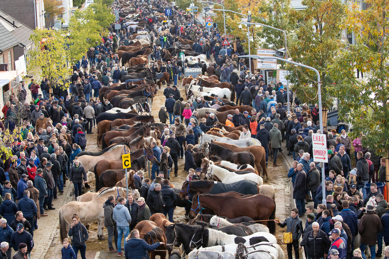 Hedel houdt rekening met fors minder paarden in lijn met de cijfers in