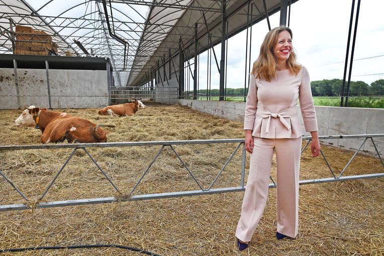 Minister Carola Schouten presenteerde tussen de koeien van Hoeve Biesland haar landbouwvisie.  Beeld Guus Dubbelman / de Volkskrant