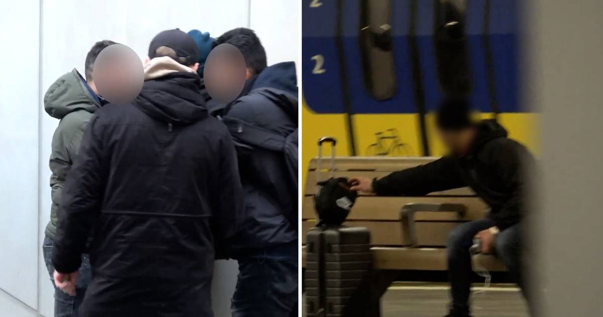 Boevenspotter pikt de zakkenrollers er zo uit op Arnhem CS: ‘Gekkenwerk ...