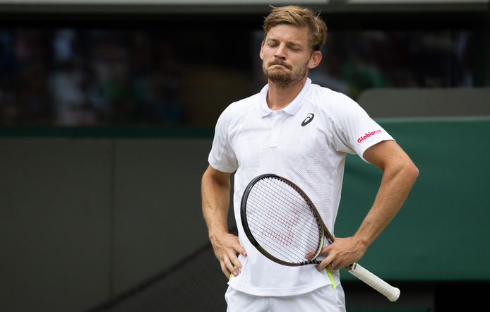 David Goffin.