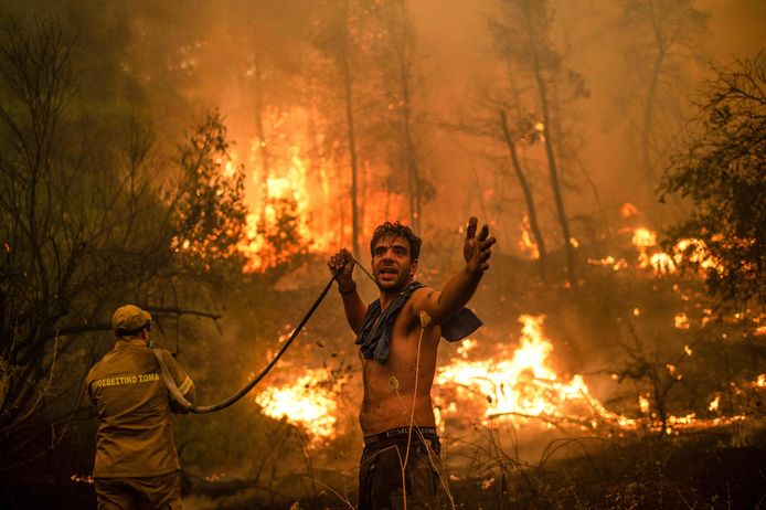 Zuid-Europa kampte afgelopen zomer met grootschalige bosbranden. Onder andere het Griekse eiland Evia kreeg het zwaar te verduren.