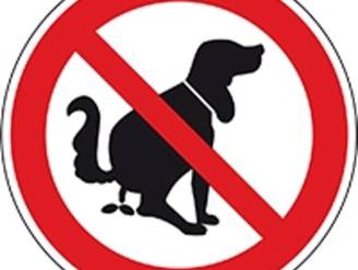 Tot 350 euro GAS boete voor zwerfvuil en hondenpoep