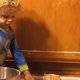 Schattige koters floppen erop los in lollige failcompilatie (filmpje)