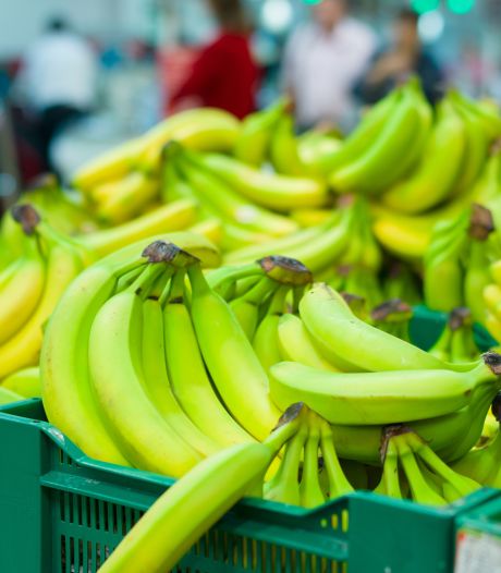 Waarom je bananen beter niet in de koelkast kunt bewaren