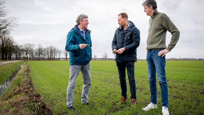 ‘Let op, hier groeien huizen!’, ligt de toekomst van Brabantse boeren in de bouw?