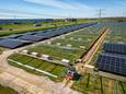 Parken met zonnepanelen worden de laatste tijd steeds vaker slachtoffer van koperdieven.