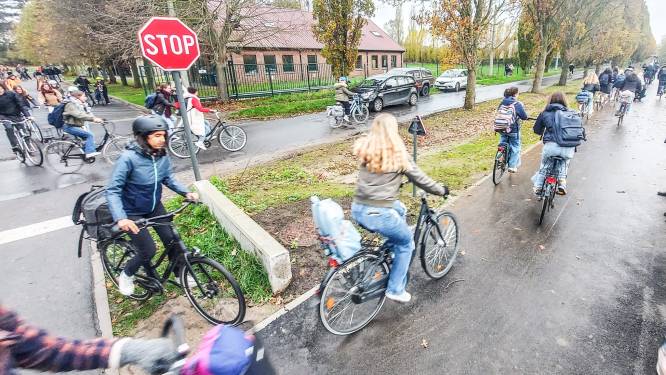Don Boscolaan krijgt twee verkeersplateaus