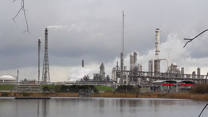 Volgens de Rabobank is de daling van de industriële activiteit in Zeeuws-Vlaanderen meegevallen.