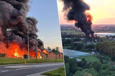 Hevige brand uitgebroken in magazijn in Ranst: enorme rookpluim van ver te zien