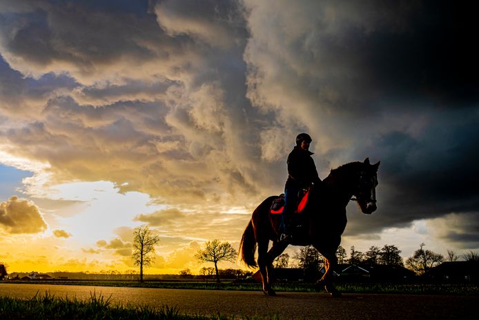 Een ruiter te paard op de Veluwe. Foto ter illustratie.