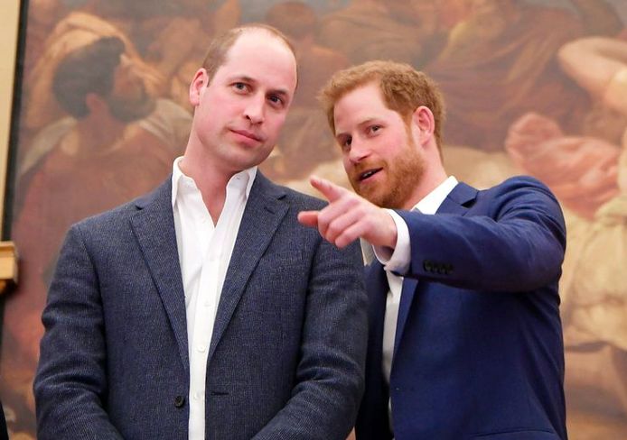 De vertroebelde relatie tussen prins William en prins Harry blijft de Britten beroeren.