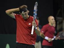 Bemelmans et Darcis s'inclinent lors du double