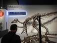 8 meter lang skelet blijkt nieuwe dinosoort