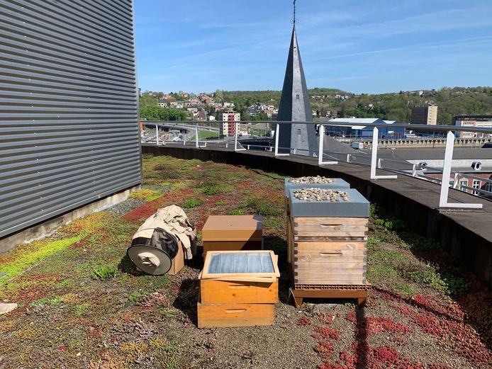 Ces ruches, installées sur le toit de la Cité administrative, permettront de produire 200 pots de miel qui seront distribués auprès de la population sérésienne.