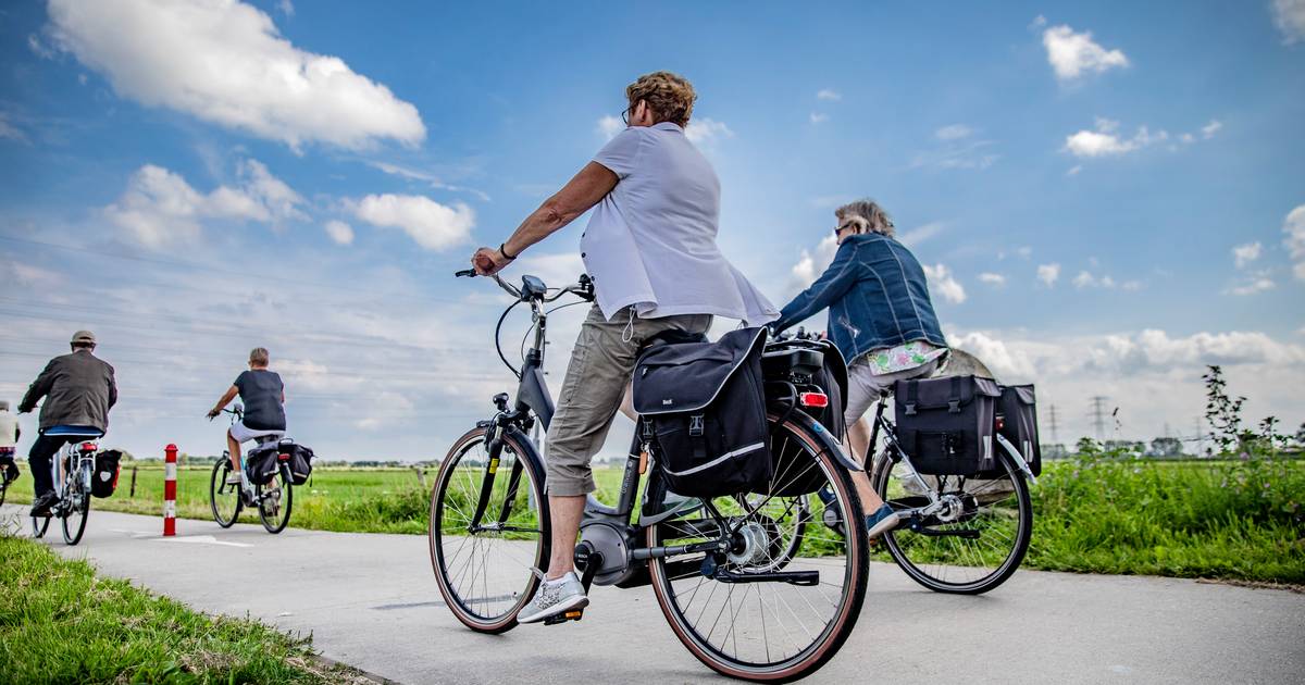 Rusteloosheid Interpersoonlijk Percentage Veilig Verkeer Nederland: maximaal 20 km/uur op e-bike | Auto | AD.nl