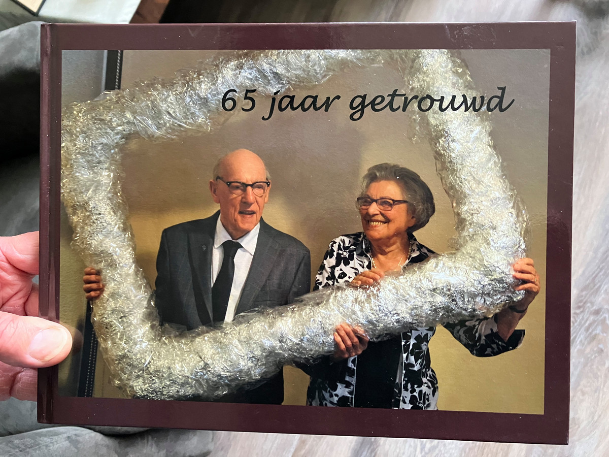 Volleybalvereniging Pegasus Ter Apel viert haar 65 jarig jubileum - Oozo.nl