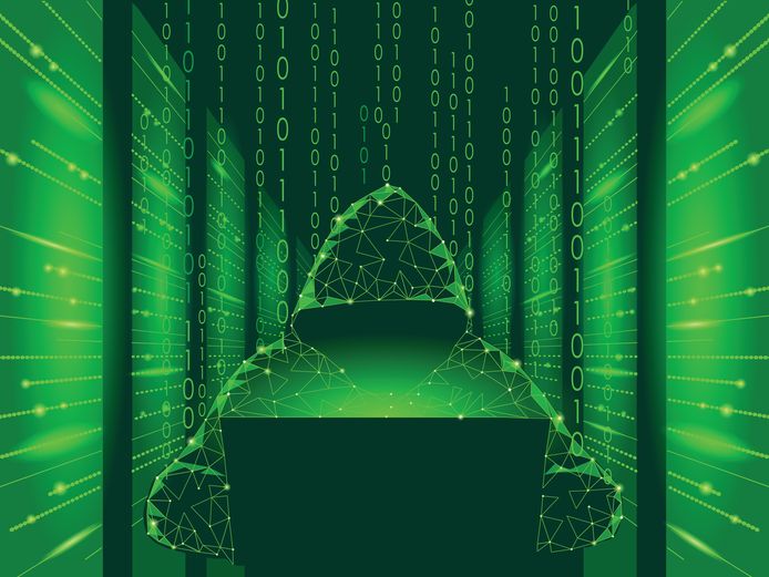 Grote bedrijven te grazen nemen achter de computer, is technisch gezien niet zo heel ingewikkeld.