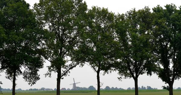 19 jaar of niet, geef deze potentiële kinderverkrachter direct levenslang!