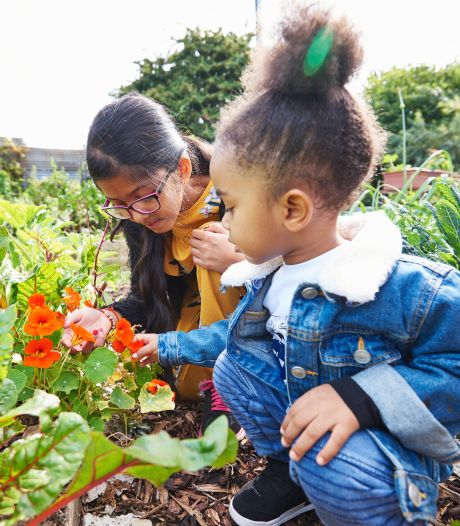 Ils proposent de cultiver local pour nourrir nos enfants
