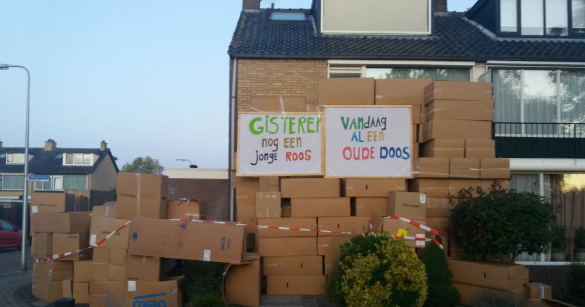 verlangen vergeten Slijm Mega-stapel dozen voor jarige 'oude doos' Paulina (50) | Alphen | AD.nl