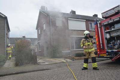 Een van de overleden hondjes was nog een puppy