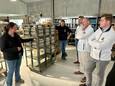Een delegatie van Vlaams Belang bezocht maandag enkele landbouwbedrijven in Hoogstraten.