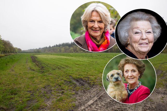 Prinsessen Beatrix (midden), Margriet (onder) en Irene (links) hebben voor ruim 2 miljoen euro stukken grond verkocht rond Paleis Soestdijk.