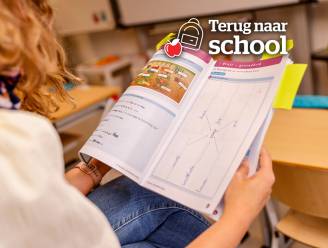 Leerlingen schrijven te weinig, leerkrachten wijzen naar de invulboeken: “Mijn dochter schreef in één jaar 20 zinnen en 4 teksten voor het vak taal”