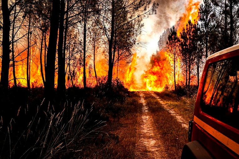 L’Europa meridionale vede incendiare decine di migliaia di ettari di foresta e gli incendi non si vedono mai fine