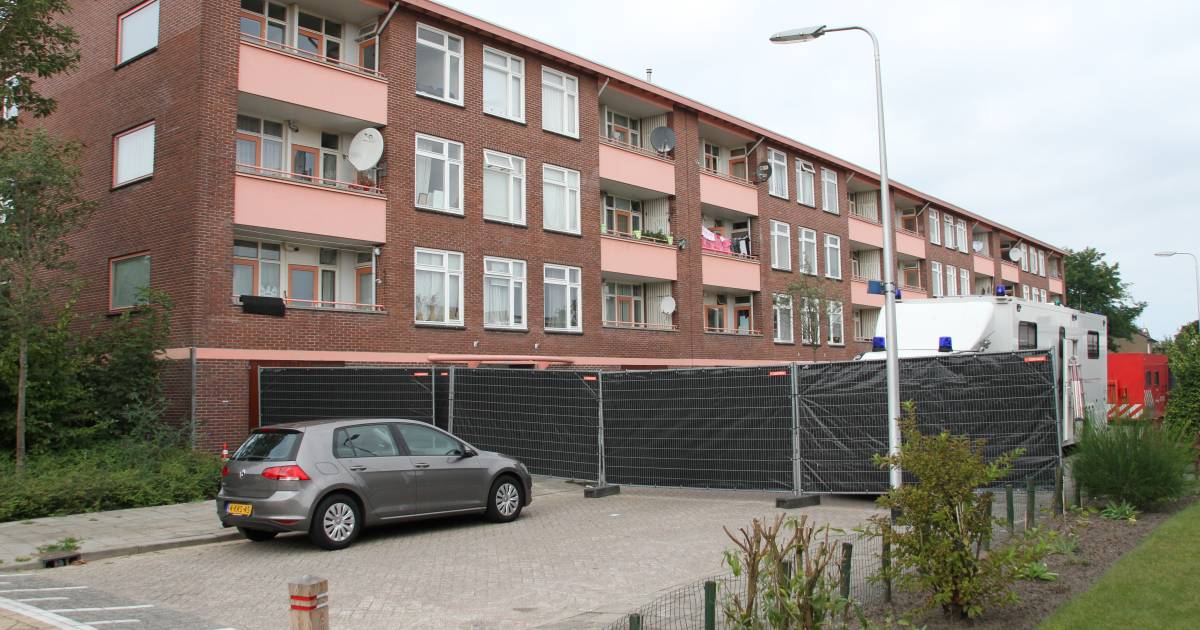 Dodelijke slachtoffers steekincident Almelo zijn twee vrouwen van 70 en 52, gewonde is 33-jarige vrouw uit Rijssen.