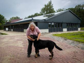 Stress door inflatie bij hondenopvang in Den Ham: ‘We hebben overwogen om niet open te gaan’