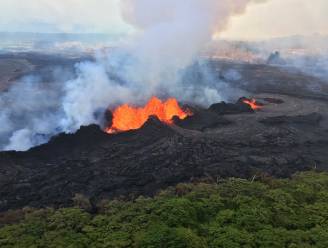 Lava vernielt prachtige natuurgebieden met uitzonderlijk leven op Hawaï (maar wetenschappers maken zich geen zorgen)