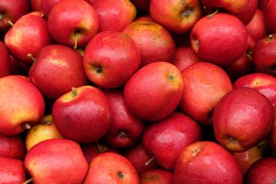 Boerenbond wil Belgische appels met herkomstaanduiding promoten in winkels