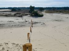 Slagbomen en touwhekken: grote delen Hulshorsterzand maandenlang dicht voor wandelaars 