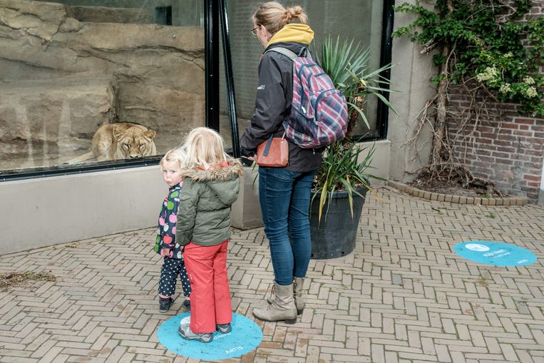 Wat leer je kinderen met het tentoonstellen van dieren in betonnen bakken?  Beeld Jakob Van Vliet