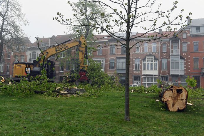 Op de Ruelensvest in Leuven worden er volgende week nieuwe bomen aangeplant.