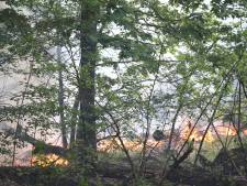 Brandweer rukt uit voor brand bij Herperduin in Berghem