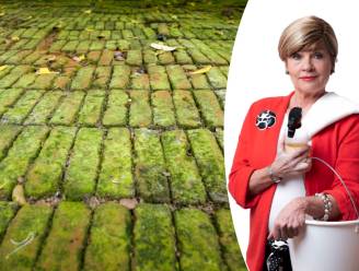 Mos of groene aanslag van de tuintegels? Poetsexperte legt uit hoe je dit zelf kan verwijderen